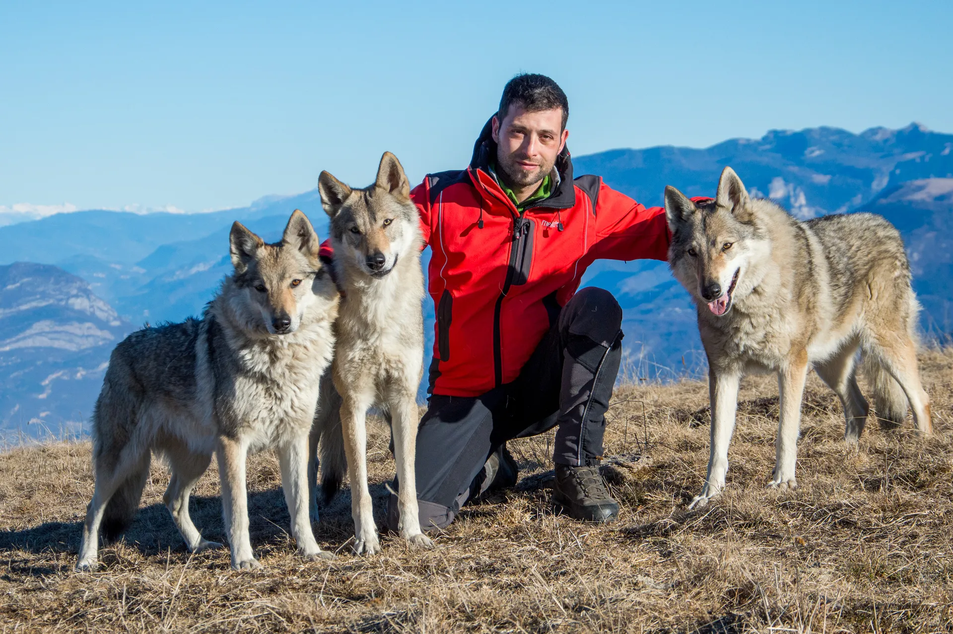 Immagine di famiglia dell'Allevamento Lupi del Baldo, con Andrea Benazzoli e il suo branco di cane lupo cecoslovacco
