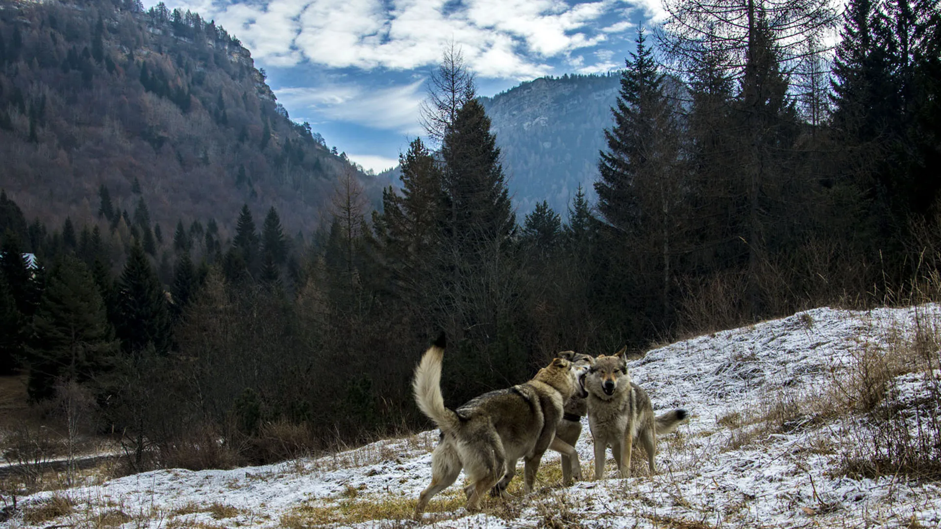 Slideshow 6