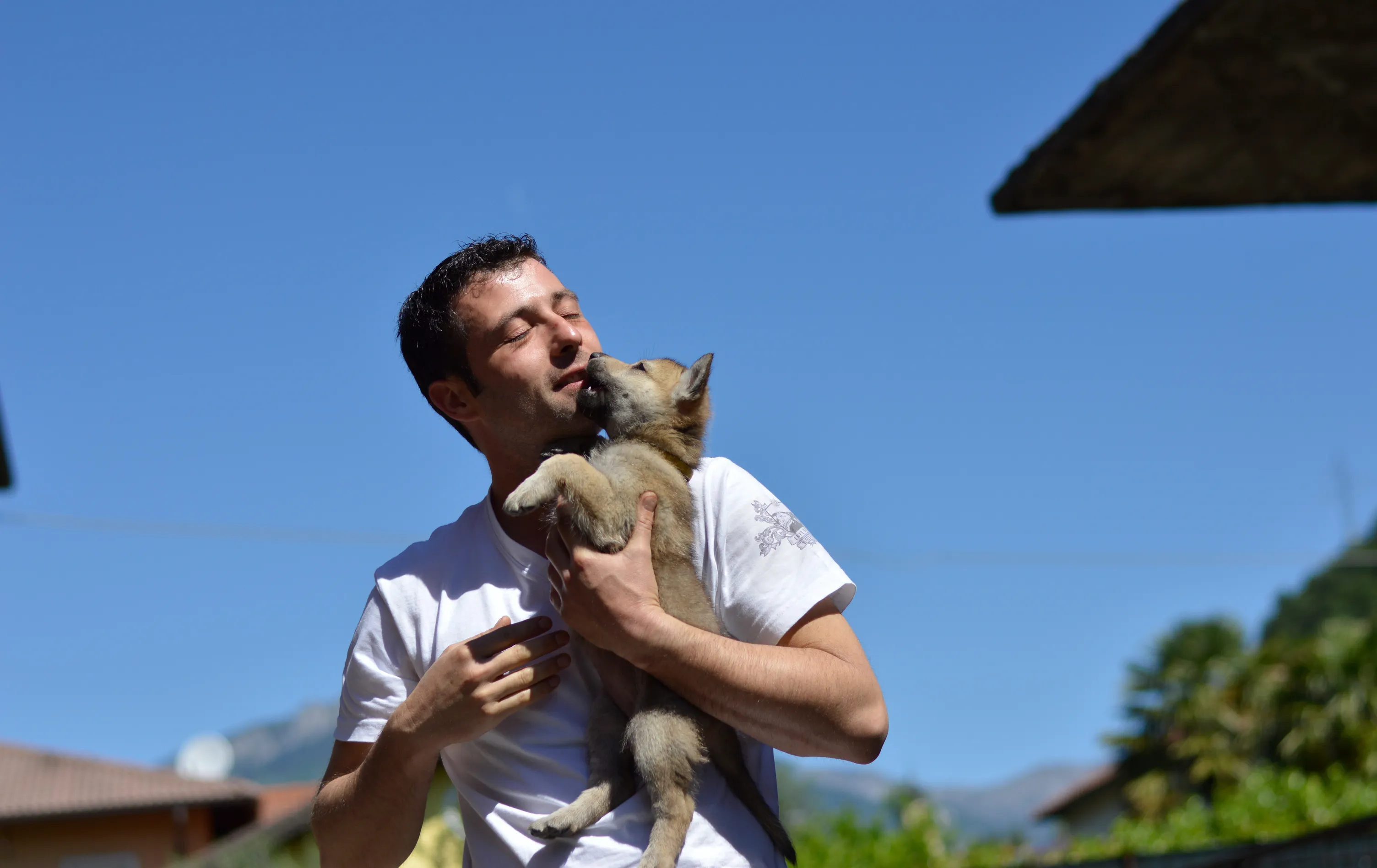 Slideshow 15
